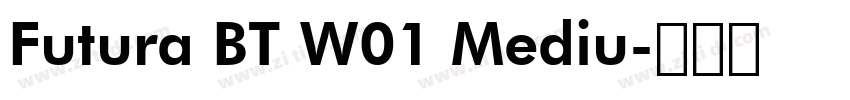 Futura BT W01 Mediu字体转换